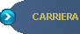 Carriera e curriculum lavorativo