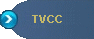 Videosorveglianza e TVCC
